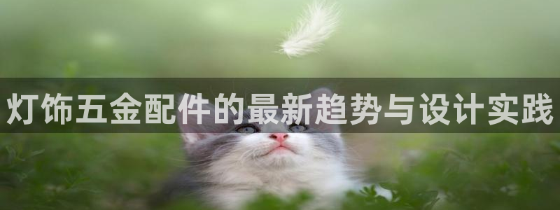 天宏娱乐河源店在哪里