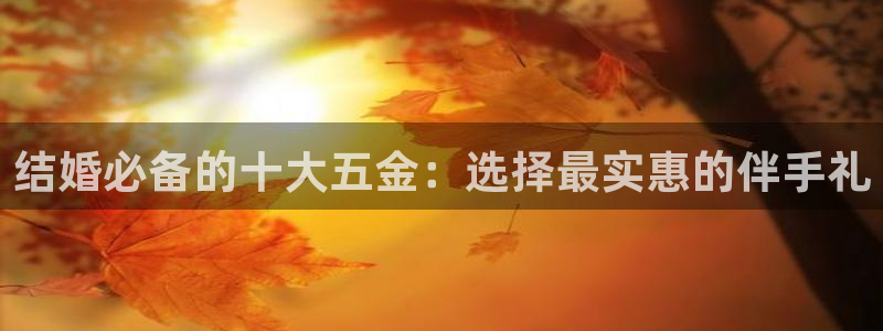 天宏娱乐男孩