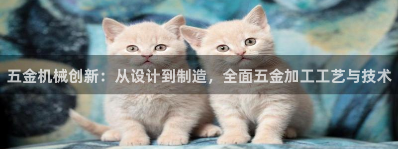 天宏娱乐涛涛