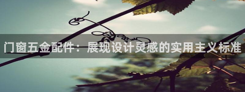 天宏娱乐韩叔视频