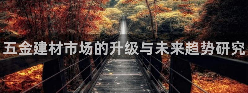 天宏娱乐k 判官