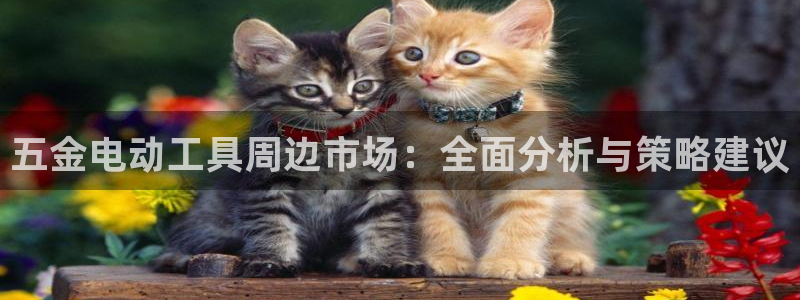 天宏娱乐下载