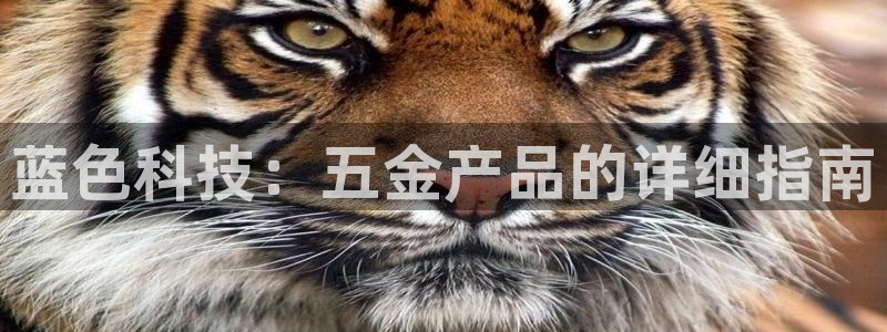 天宏娱乐秦叔老婆