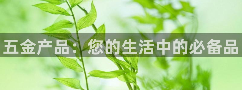 天宏娱乐直播间怎么进