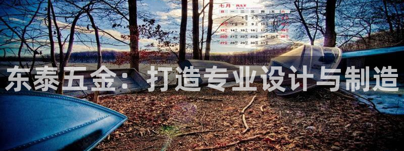 天宏集团黑骑士娱乐