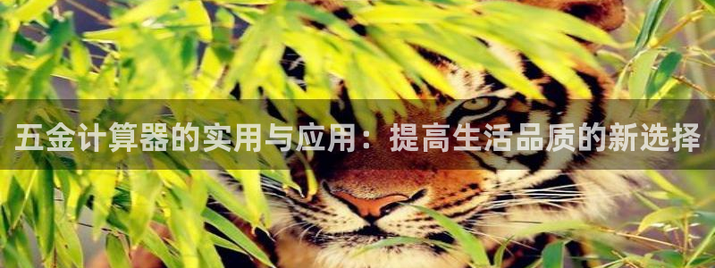 天宏娱乐大叔团队介绍视频