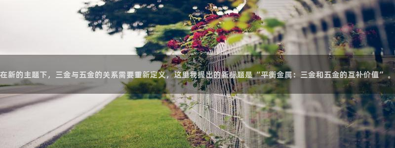 天宏娱乐金叔