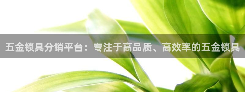 天宏娱乐董事长