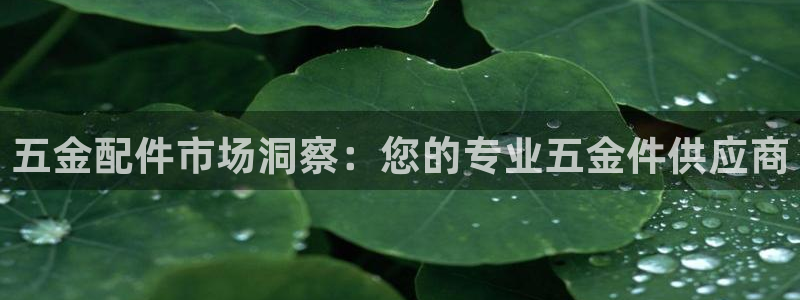 天宏娱乐团购活动时间
