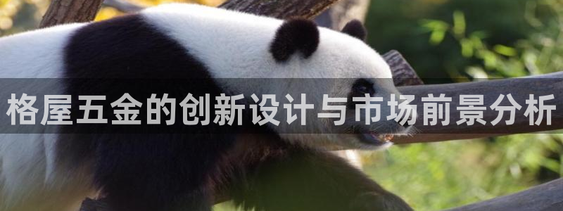 天宏娱乐c 判官