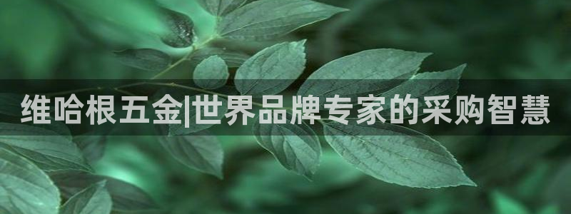 天宏娱乐k 判官