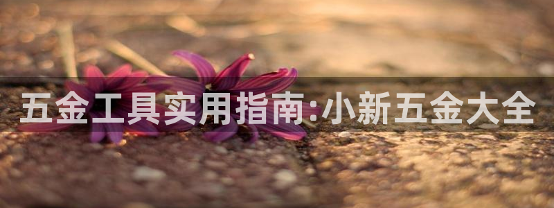 天宏娱乐app 下载