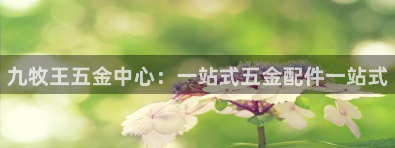 天宏娱乐老男孩直播