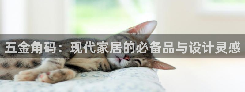 天宏娱乐在线播放