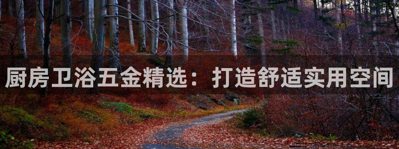 天宏娱乐app的下载