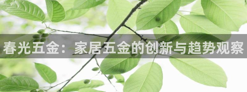 天宏娱乐d 判官