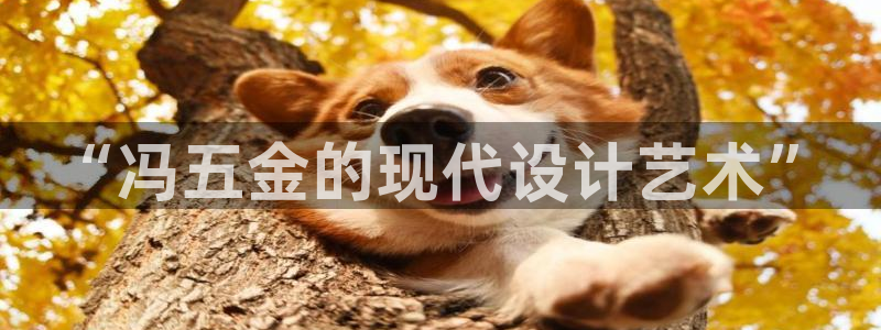 天宏娱乐直播团