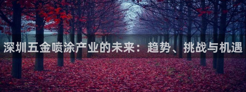 天宏娱乐老男孩吴叔