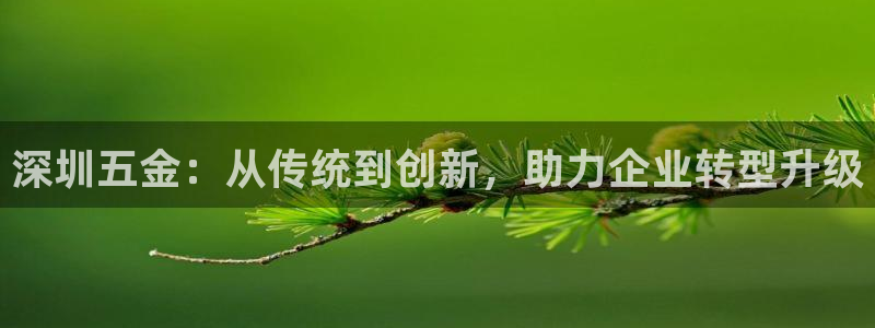 天宏2娱乐