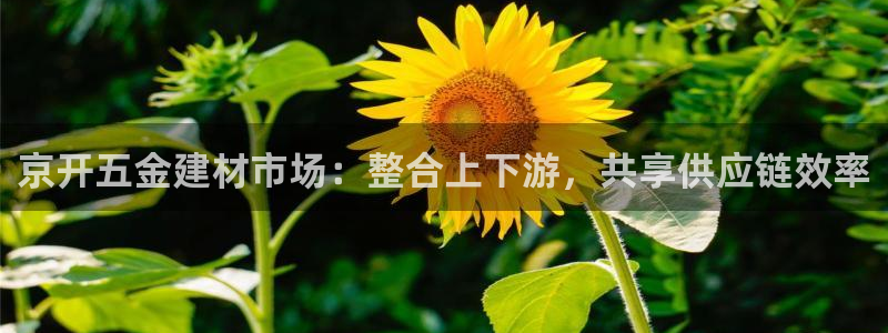 天宏娱乐天宏娱禾