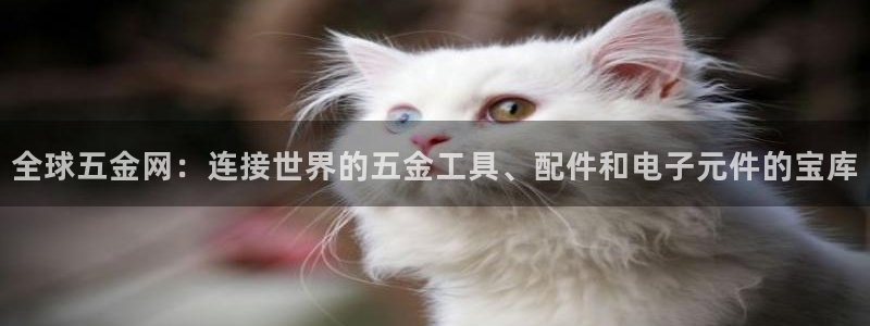 天宏集团黑骑士娱乐