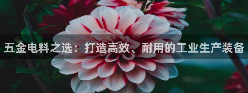 天宏娱乐6号