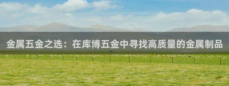 天宏娱乐开业晚宴
