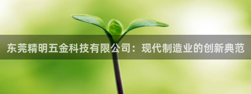 天宏娱乐是干嘛的