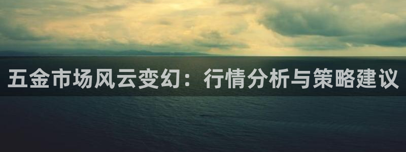 天宏娱乐董事长简历