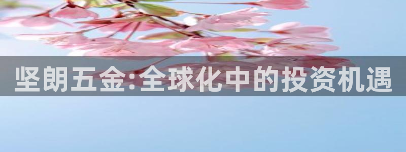 天亿娱乐宏发团队成员