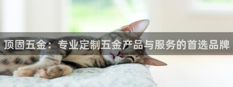 天宏娱乐直播怎么样