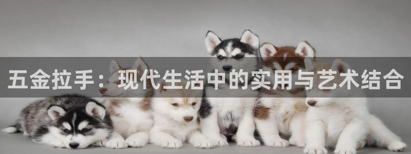 天宏娱乐福叔