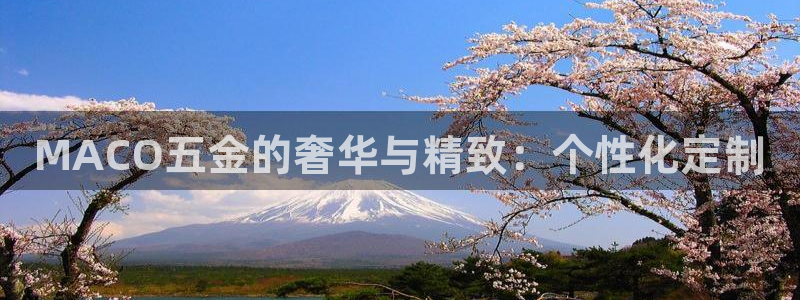 天宏娱乐主管q844389