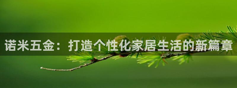 天宏娱乐 92229实c力