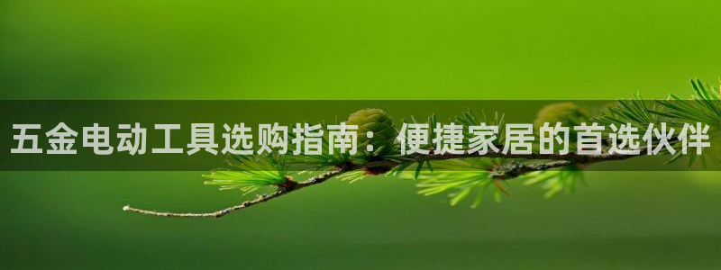 天宏娱乐运营29229