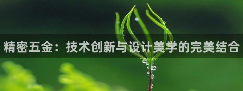 天宏娱乐关先生