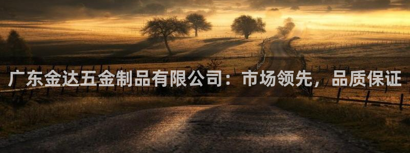 天宏娱乐开业