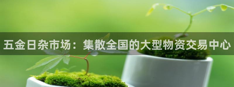 天宏娱乐h 判官