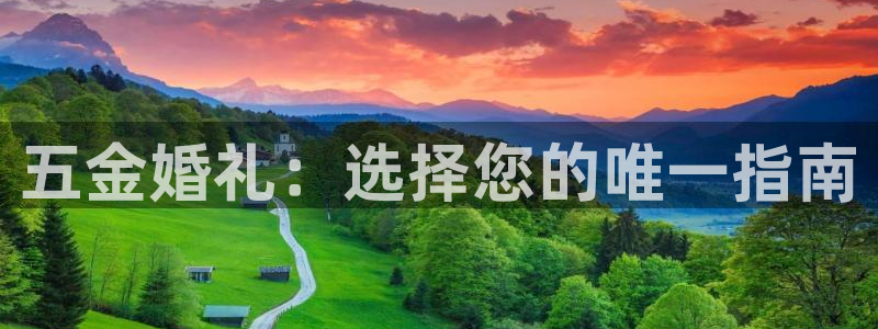 天宏娱乐大叔团龙叔