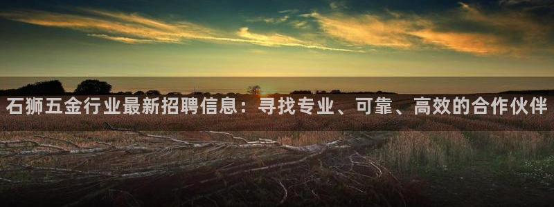 天宏娱乐实f力803466