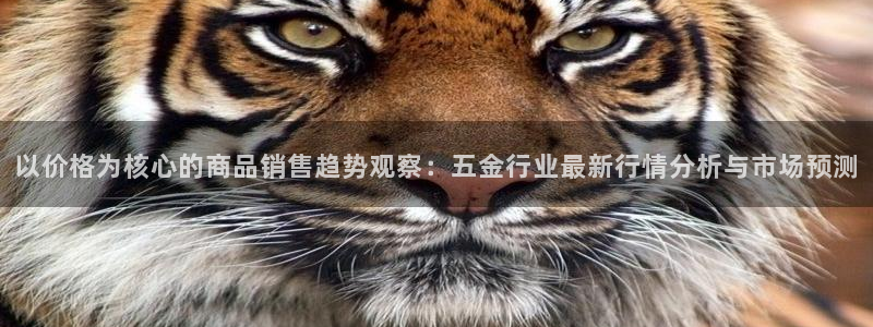 天宏娱乐指挥官