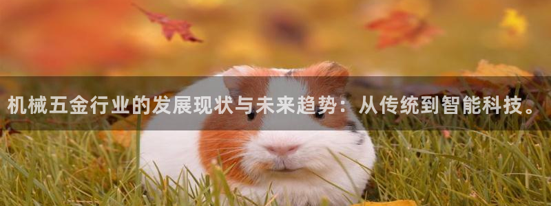 天宏娱乐胡叔