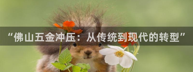 天宏娱乐宋善良