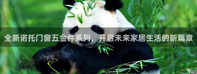 天宏娱乐豆豆