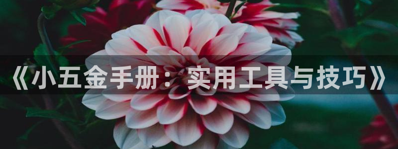 天宏娱乐为什么被骂
