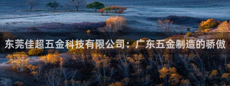 天宏娱乐运营29229