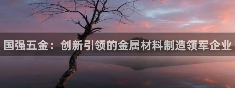 天宏娱乐32937股东