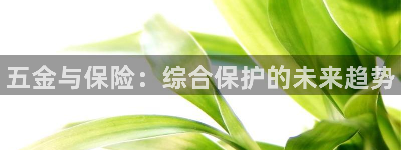 天鲸正宏娱乐是什么