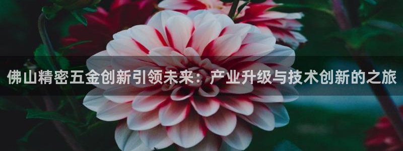 天宏娱乐董事长简历