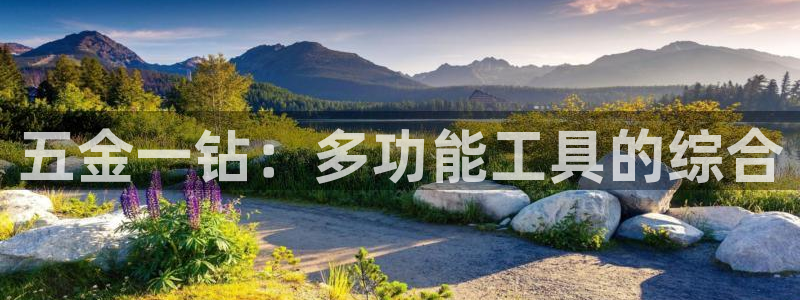 天宏娱乐朱俊伟